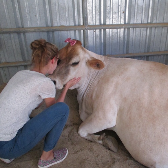 Meet your Posher, Sophie - Picture 2 of 3